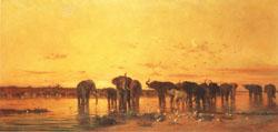 Charles tournemine African Elephants Sweden oil painting art